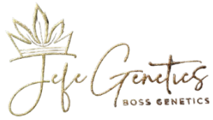 Jefe Genetics